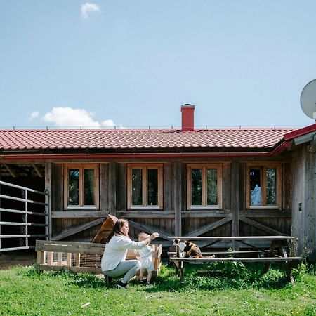 Apartman Na Ranci Pod Lovosem Velemin Buitenkant foto